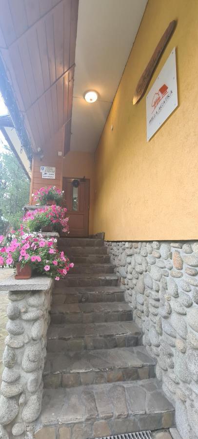 Willa Agatka Zakopane Ngoại thất bức ảnh